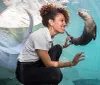 A person is smiling and interacting with a playful sea lion through a transparent underwater tunnel