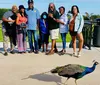 People are taking a tour on an airboat in a grassy wetland area