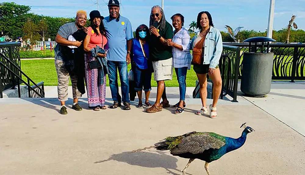 A group of seven smiling people poses for a photo outdoors with a peacock in the foreground