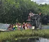 People are taking a tour on an airboat in a grassy wetland area