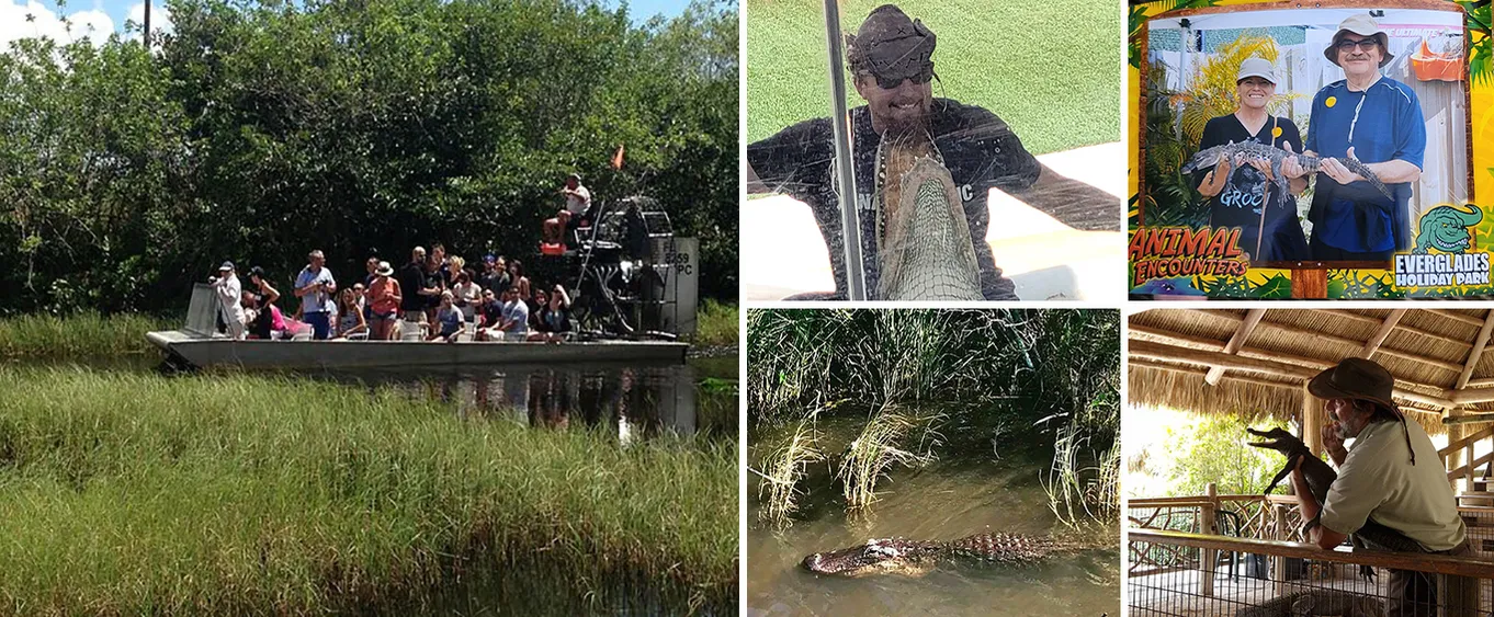 3-Hour Everglades Tour from Miami