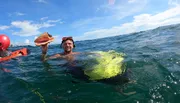 A person with diving goggles is smiling in the ocean while holding up a large shell and floating with the assistance of a bright, lime-green swim board and a red buoy nearby.