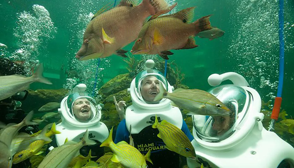 People wearing underwater helmets are surrounded by colorful fish creating a lively and immersive aquarium experience