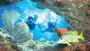 Two snorkelers explore a vibrant underwater cave surrounded by marine life and coral formations.