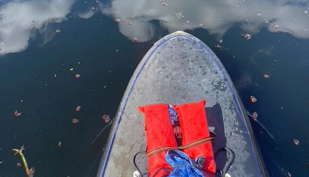 The image shows the bow of a stand-up paddleboard with a red life vest strapped to it floating on water that reflects clouds above