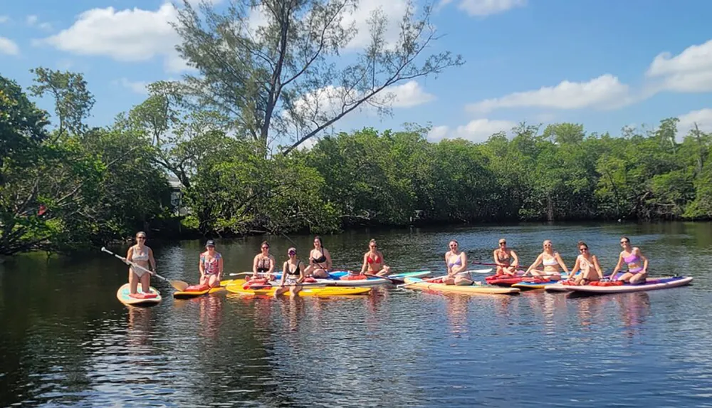 A group of people are enjoying paddleboarding on a calm river surrounded by lush greenery on a sunny day