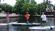 Three people are standing on paddleboards in a calm waterway with tropical vegetation and houses in the background.