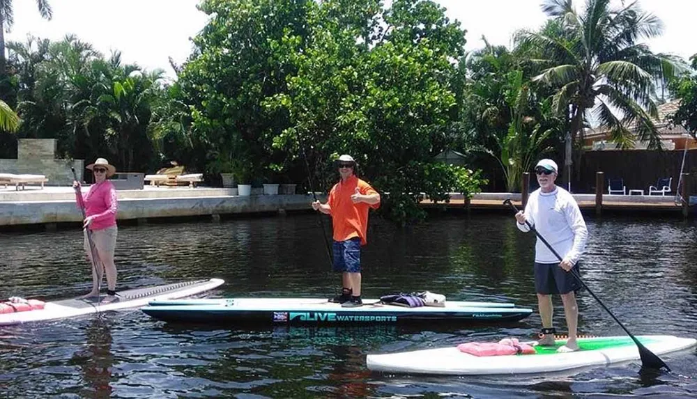 Three people are standing on paddleboards in a calm waterway with tropical vegetation and houses in the background