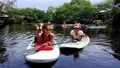 Stand-Up Paddle Board Lesson 1 on 1 Photo