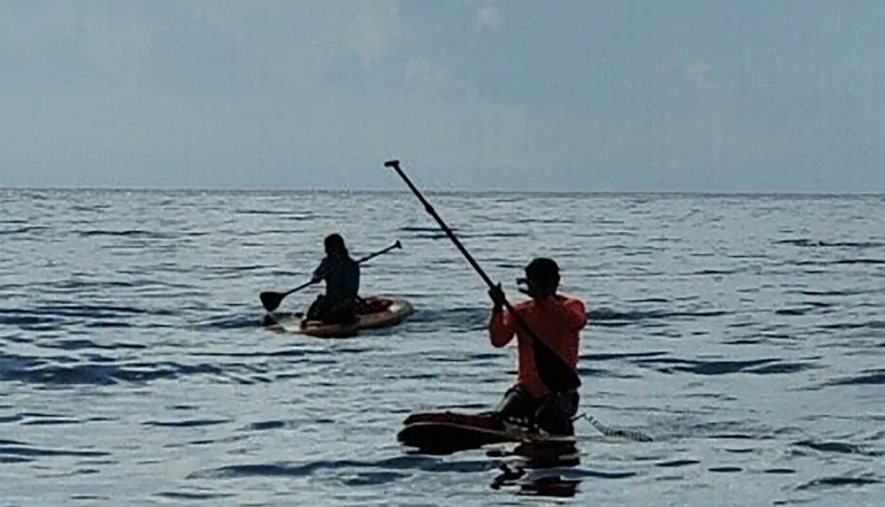 Two people are stand-up paddleboarding on a calm sea