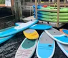 A group of smiling people are seated in colorful kayaks on calm water with two dogs also visible on the kayaks