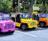 A lineup of brightly colored mini Moke cars parked under the shade of trees