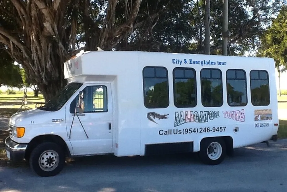 A white tour bus marked Alligator Tours is parked under a tree advertising City  Everglades tours with contact information displayed on its side