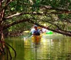 A person is kayaking through a mangrove forest under a clear sky