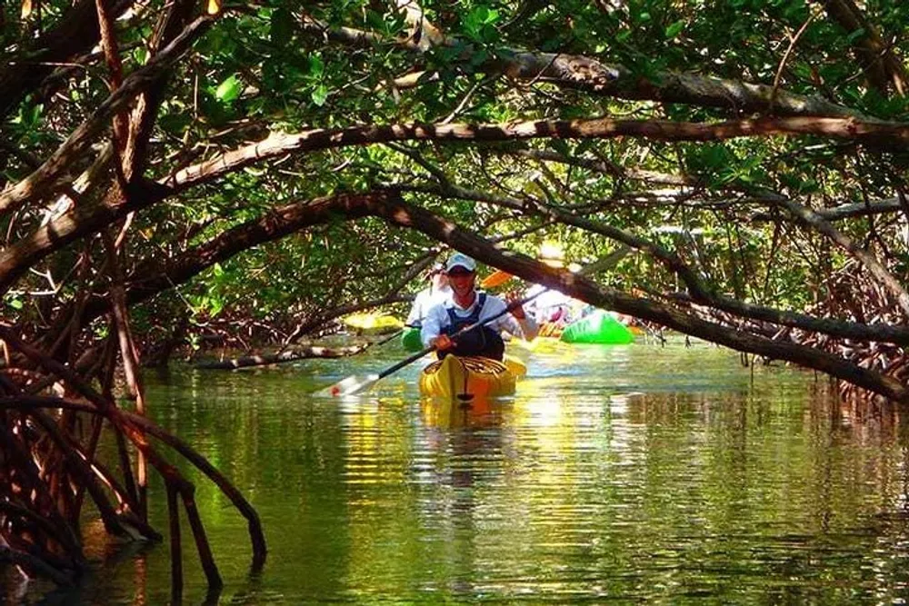 A person is kayaking through a serene waterway shaded by an arch of tree branches