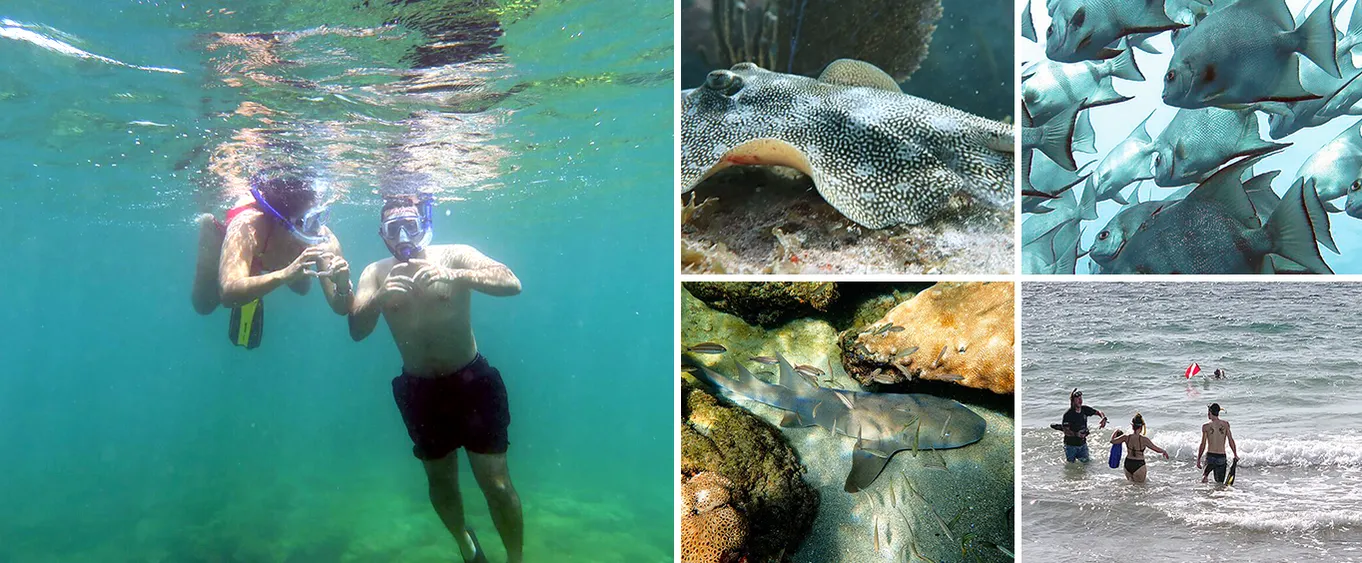 Atlantic Ocean Snorkeling Experience