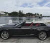 A black convertible car with red interior is parked by a waterfront with tropical vegetation in the background