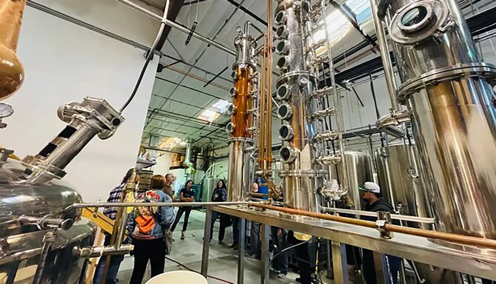 A group of people is taking a tour in a distillery observing the large copper and stainless steel distillation equipment