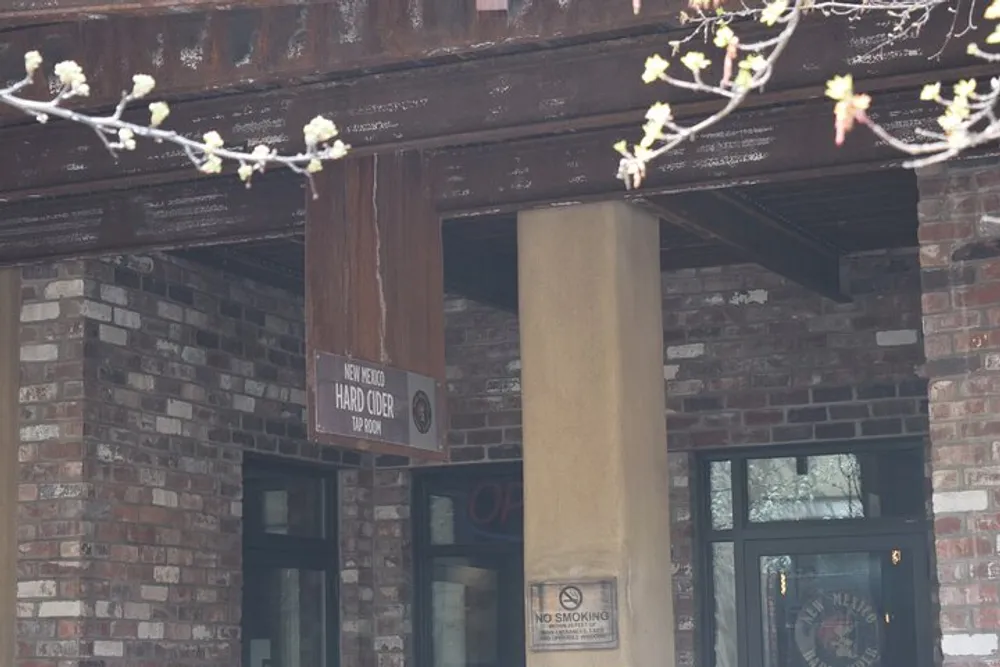 The image shows the exterior of a building with a sign for NEW MEXICO HARD CIDER TAPROOM and a NO SMOKING sign with a branch bearing spring blossoms in the foreground