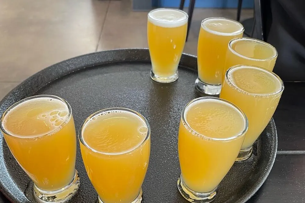 A tray holds eight glasses filled with a frothy golden liquid that appears to be orange juice