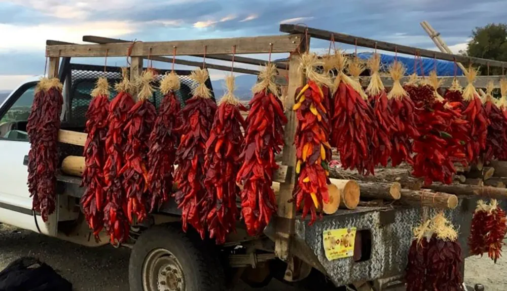 A flatbed truck is adorned with numerous ristras of red chili peppers showcasing a traditional method of drying and displaying the vibrant produce