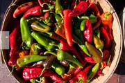 A basket is filled with a variety of vibrant green and red chili peppers basking in the sunlight.