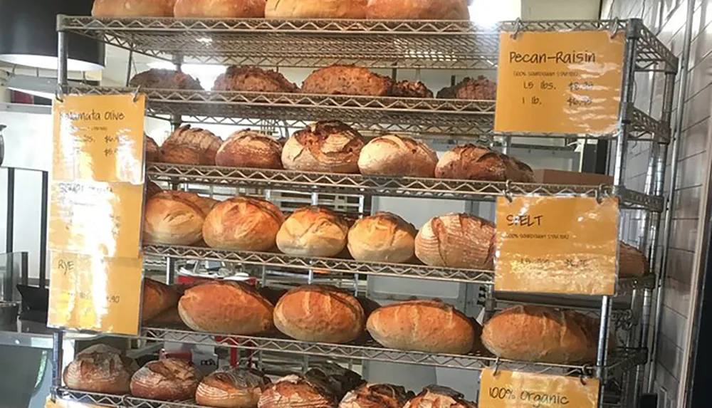 This image shows a bakery rack filled with various types of freshly baked bread each shelf tagged with the name and price of the bread