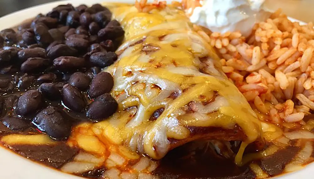 The image shows a plate of enchiladas covered in melted cheese and sauce served with sides of black beans and rice