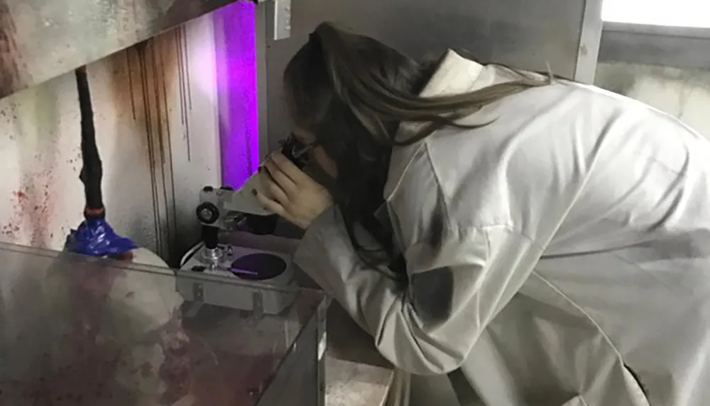 A person in a lab coat is intently looking through a microscope in a laboratory setting