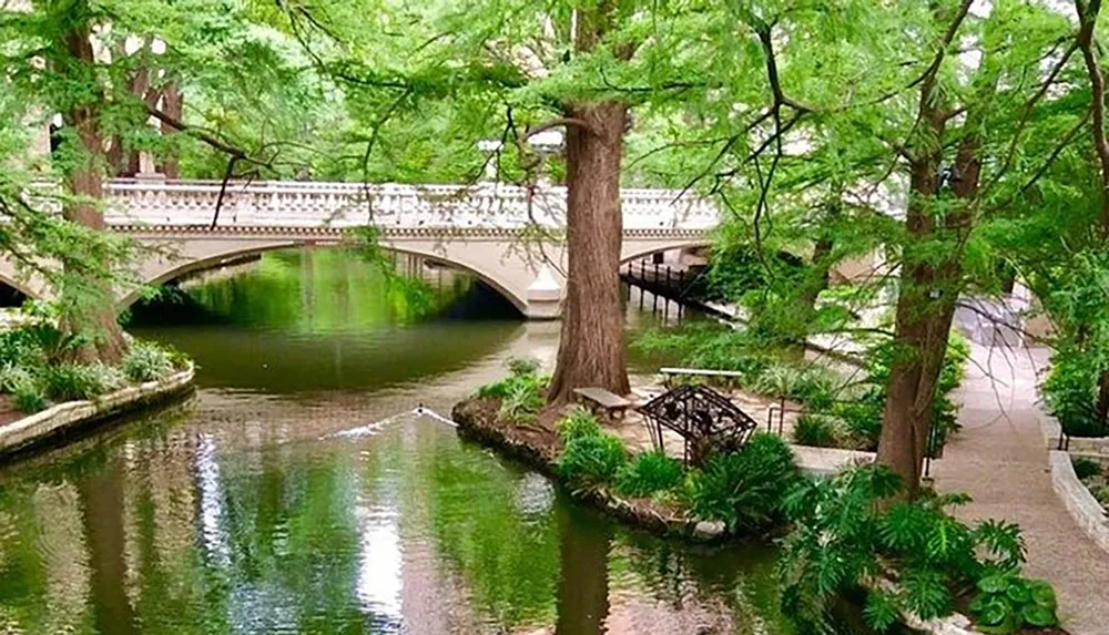 The image displays a serene riverside walkway with lush greenery and a graceful arched bridge crossing over calm waters