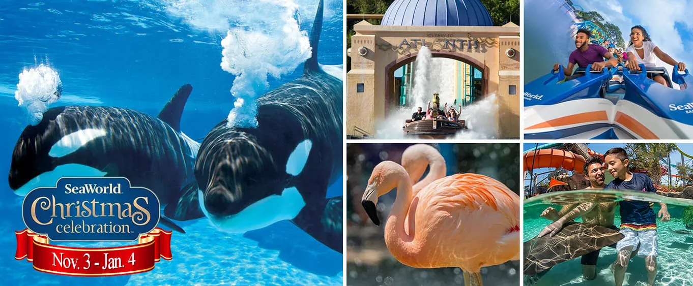 SeaWorld San Antonio: Get Tickets to San Antonio SeaWorld & Aquatica San Antonio Combo Tickets