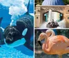 This is a promotional image for SeaWorlds Spooktacular event featuring an orca swimming underwater and an inset picture of two people on a roller coaster