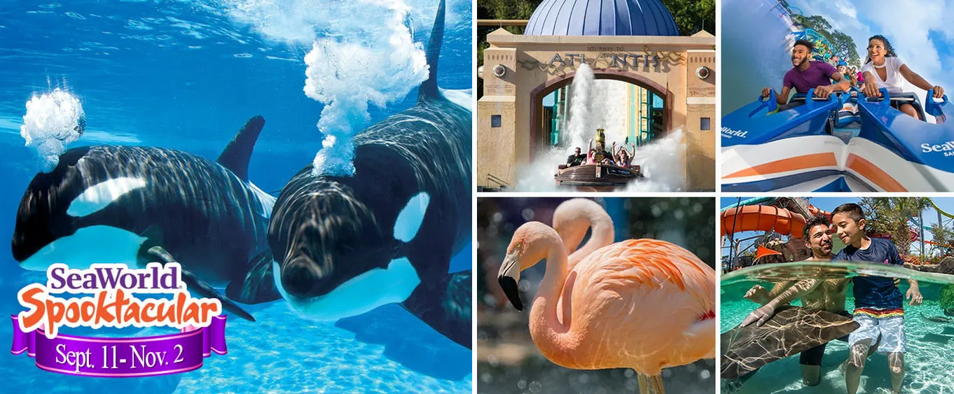 SeaWorld San Antonio: Get Tickets to San Antonio SeaWorld & Aquatica San Antonio Combo Tickets