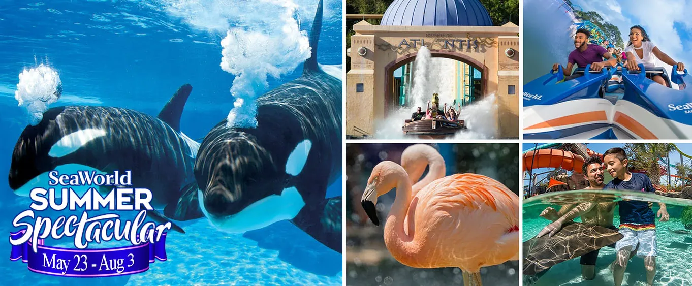 SeaWorld San Antonio: Get Tickets to San Antonio SeaWorld & Aquatica San Antonio Combo Tickets