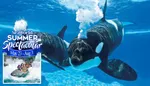 Best of San Antonio Comprehensive Package