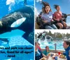 This is a promotional image for SeaWorlds Spooktacular event featuring an orca swimming underwater and an inset picture of two people on a roller coaster