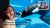 A child is joyfully observing an orca with a positive testimonial overlay, while a small inset shows people riding a roller coaster.