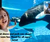 This is a promotional image for SeaWorlds Spooktacular event featuring an orca swimming underwater and an inset picture of two people on a roller coaster