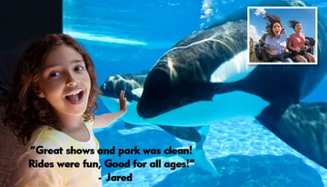 A child is joyfully observing an orca with a positive testimonial overlay, while a small inset shows people riding a roller coaster.