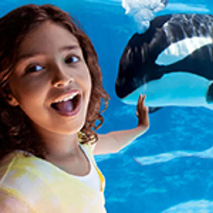 San Antonio Romantic Getaway Package