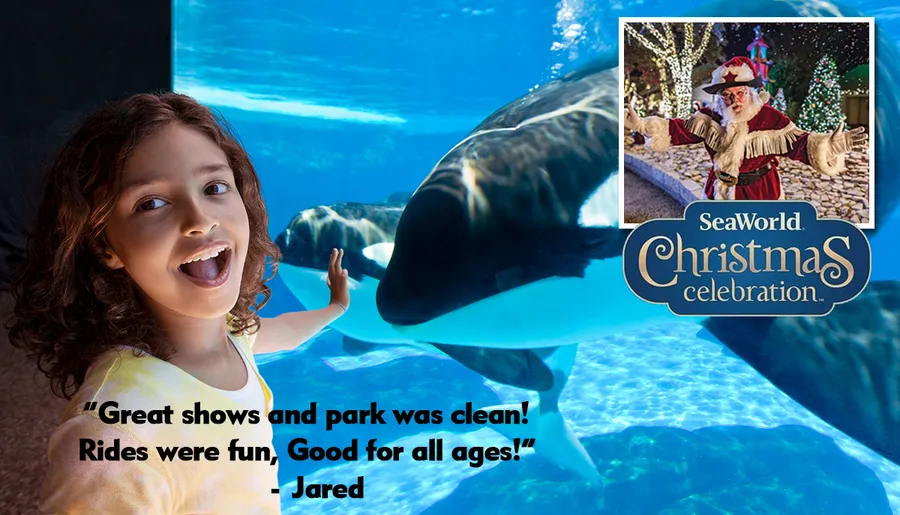 The image is an advertisement for SeaWorld's Christmas celebration featuring a couple looking at Christmas lights superimposed on a photo of orcas swimming in clear blue water.