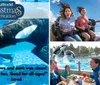 The image is an advertisement for SeaWorlds Christmas celebration featuring a couple looking at Christmas lights superimposed on a photo of orcas swimming in clear blue water