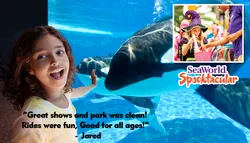 Popular Theme Parks