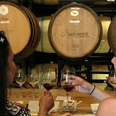 Fredericksburg Hill Country Aficionado Wine Tour from San Antonio