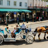 San Antonio Carriage Tour Thru Travis Park