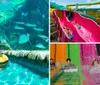 A man and a young boy are enjoying interacting with stingrays in a clear pool at a water park with slides and palm trees in the background