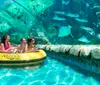 A man and a young boy are enjoying interacting with stingrays in a clear pool at a water park with slides and palm trees in the background