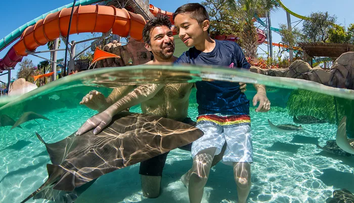 Aquatica San Antonio Photo