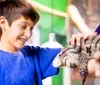 Children are seen delightfully interacting with aquatic animals touching a ray in a touch pool and meeting penguins in an inset image reflecting an educational and engaging experience at an aquarium
