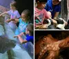 Children are seen delightfully interacting with aquatic animals touching a ray in a touch pool and meeting penguins in an inset image reflecting an educational and engaging experience at an aquarium